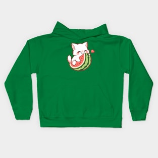 Funny and Cute Cartoon Cat on A Watermelon Kids Hoodie